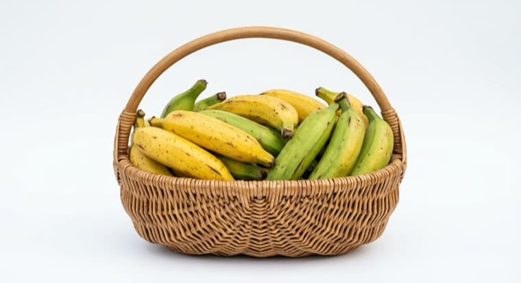 Plantain