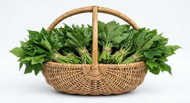 Ugu leaves